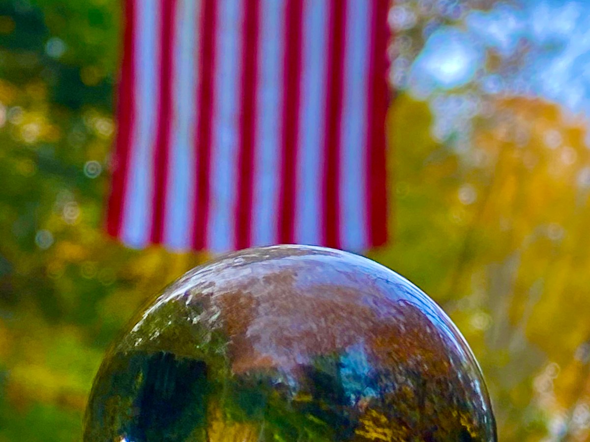 Inspiration: Finding Beauty in a World that’s&nbsp;Upside-down