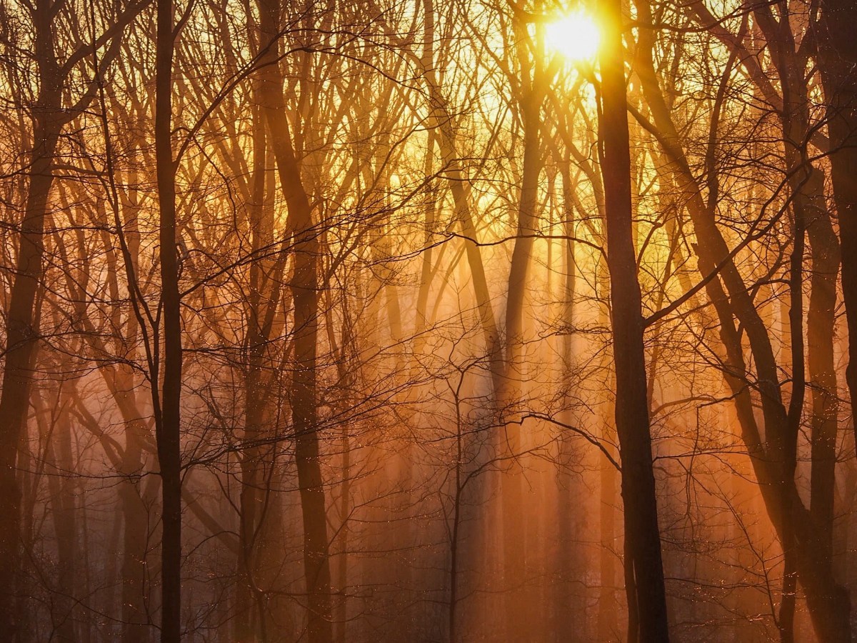 Inspiration: Whistle Near the&nbsp;Blindman