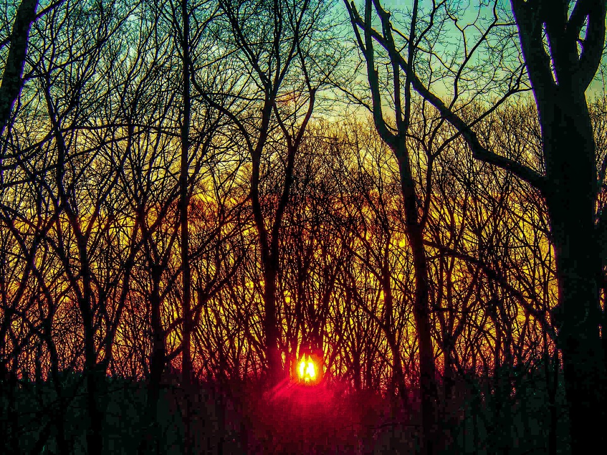 Inspiration: Backyard Pivot