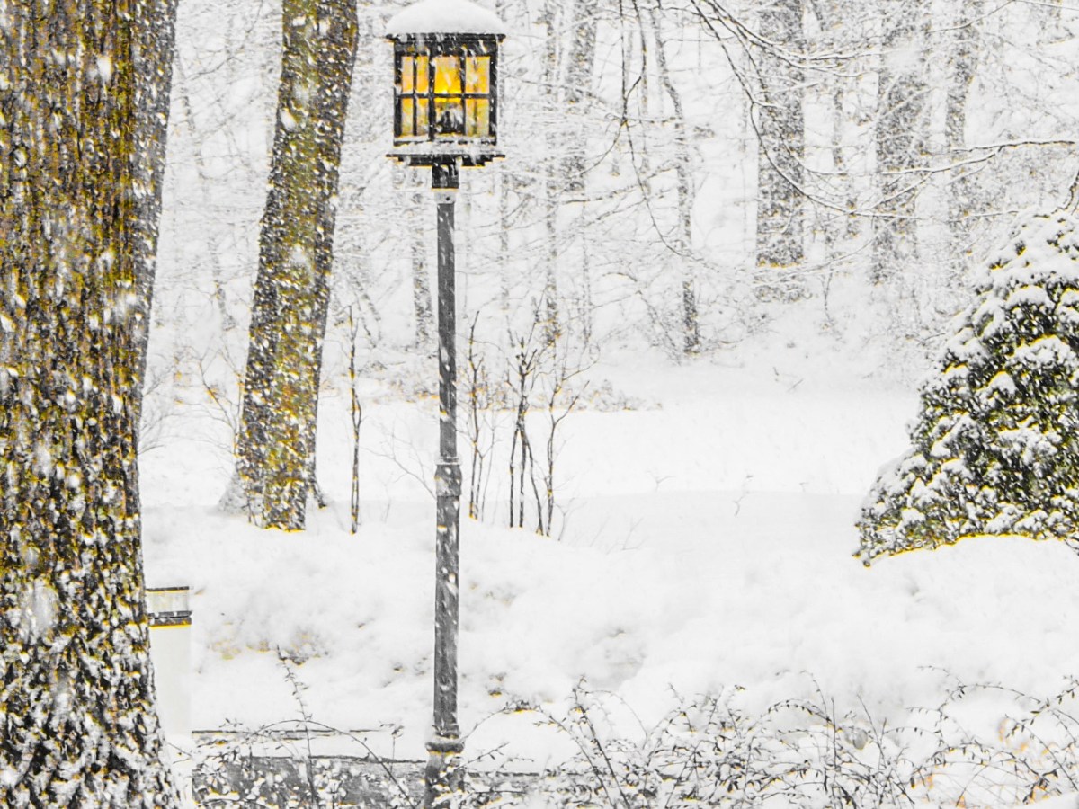 Inspiration: Amber Glow Amidst the&nbsp;Snow