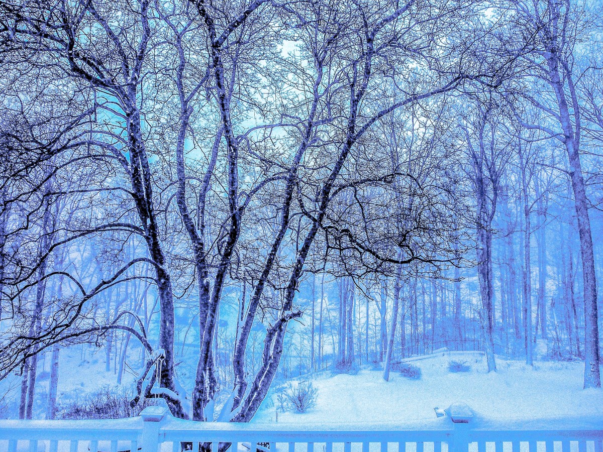 Inspiration: Snow Glows