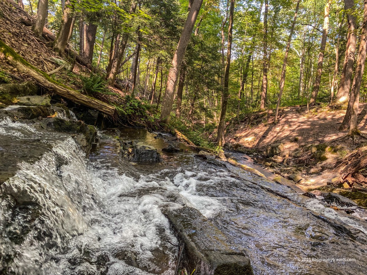 NY: Hudson Valley- Sauguerties- Falling Waters&nbsp;Preserve