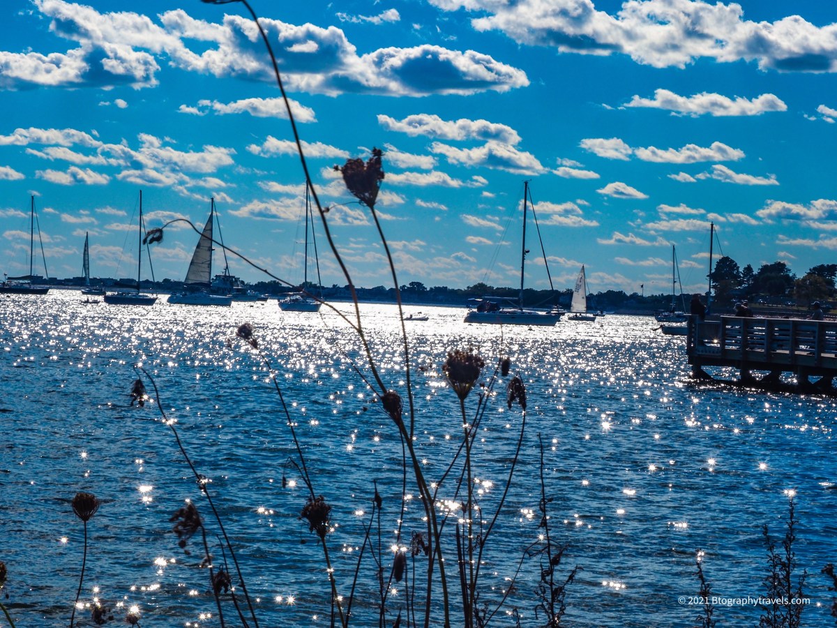 Inspiration: Human Doing