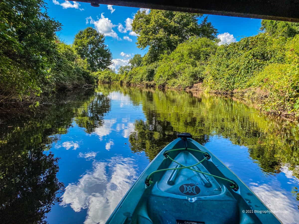 CT: Litchfield- White Memorial- Bantam River&nbsp;(Kayaking)
