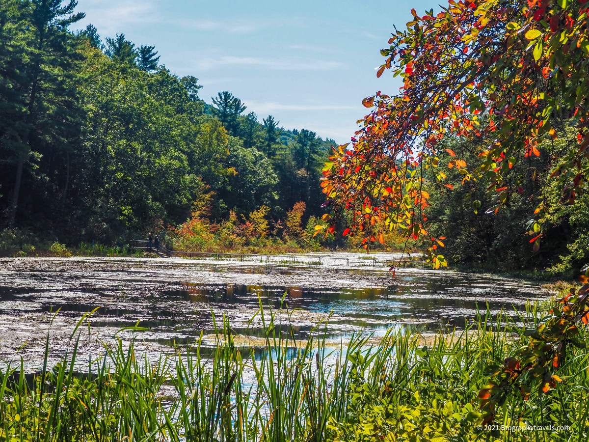 NY- Dutchess County- Millbrook- Innisfree Garden&nbsp;(Fall)