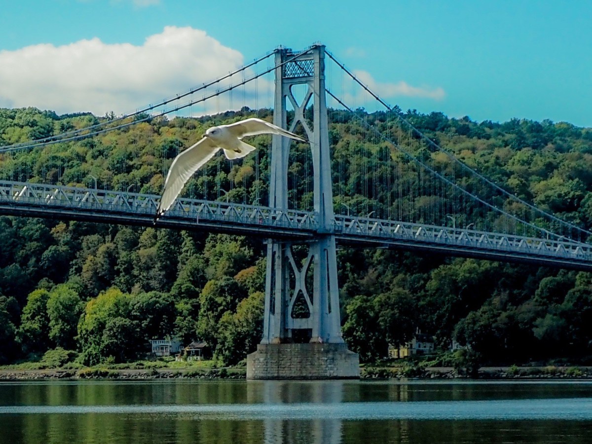NY: Hudson Valley-Poughkeepsie- Walkway&nbsp;Loop