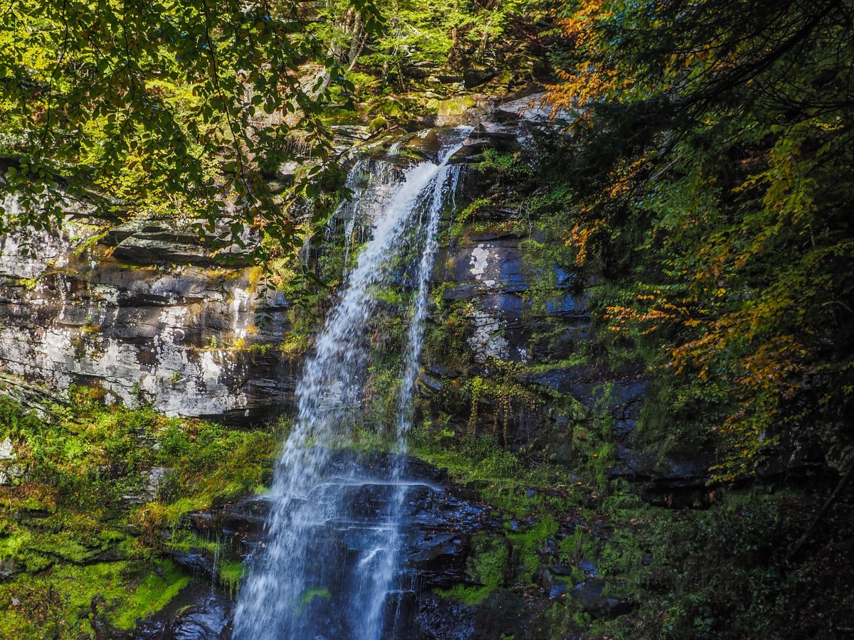 NY: Catskills Region-Plattekill Falls
