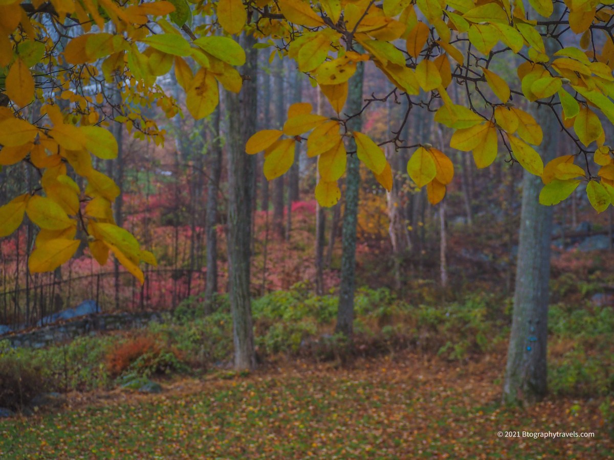 Inspiration: Barely a&nbsp;Step