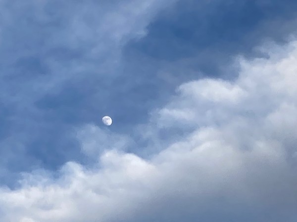 Inspiration- Moon Exchange