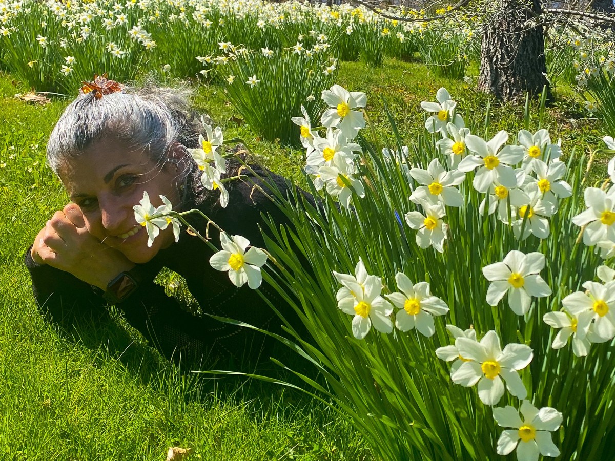 NY: Millbrook- Innisfree Garden- Daffodil&nbsp;Viewing