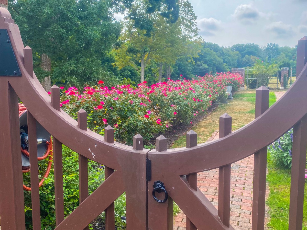 New Canaan- Waveny&nbsp;Park