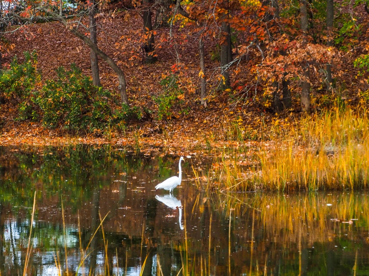 CT: Fairfield- Westport/Southport Coastal&nbsp;Ride