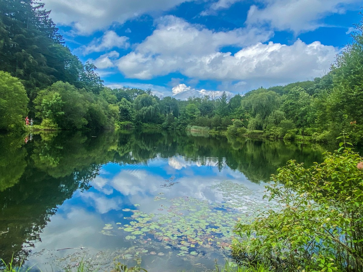 NY: Katonah: Lasdon&nbsp;Park