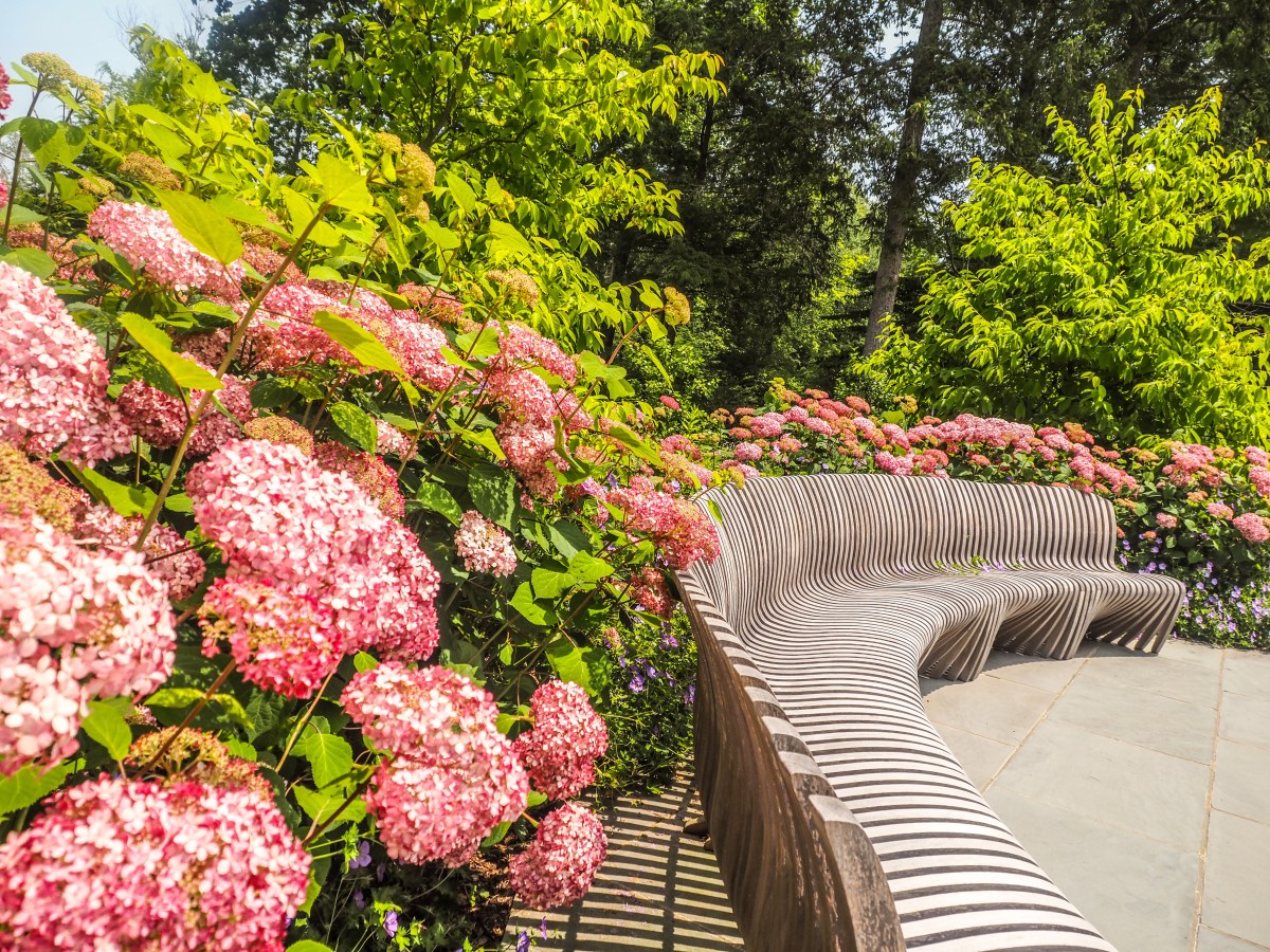 NY: Katanoh: Caramoor Meditation &&nbsp;Music