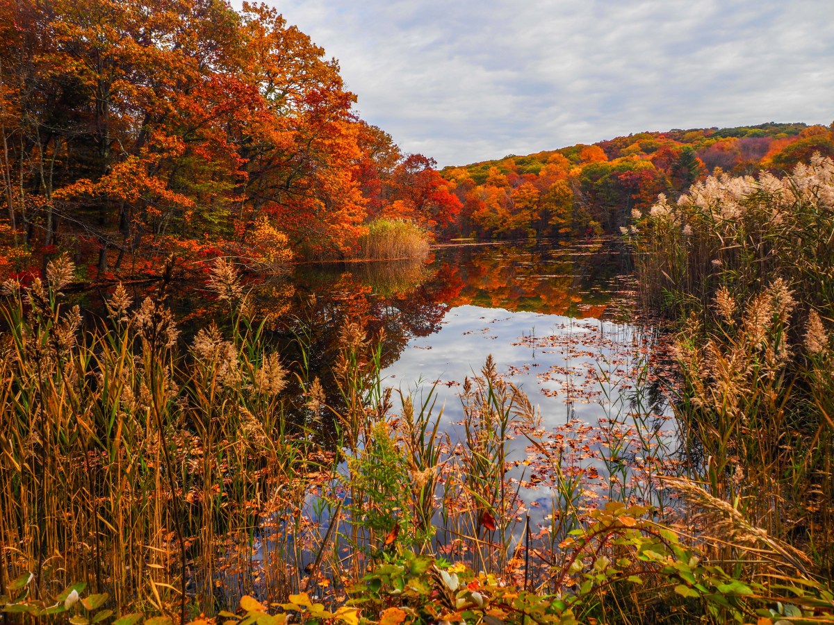 NY: North Salem: Mountain&nbsp;Lakes