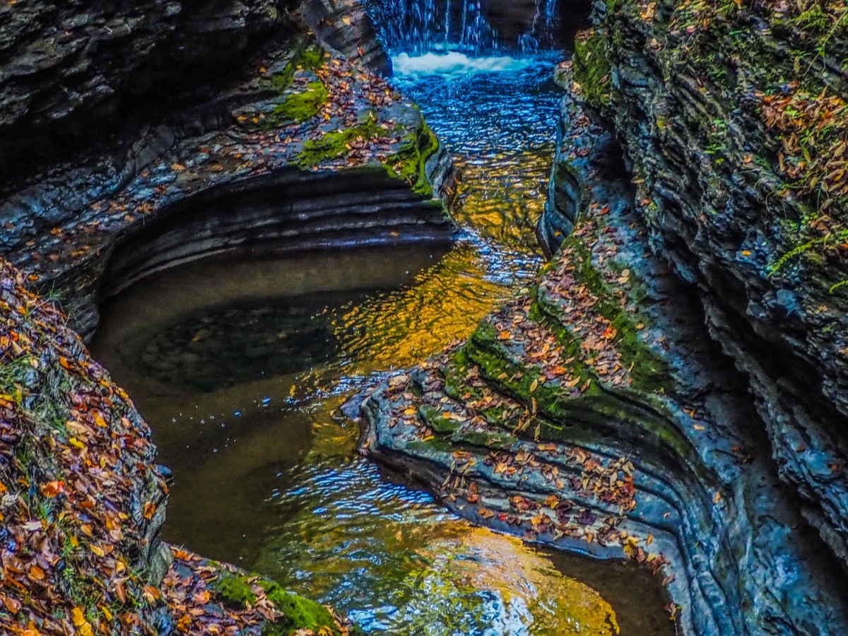 NY: Fingerlakes- Watkins Glen State&nbsp;Park